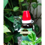 best homeopathic medicines