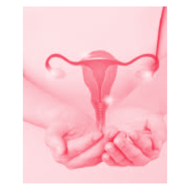 This image shows the importance of ovary