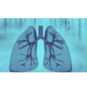 This image shows damaged lungs